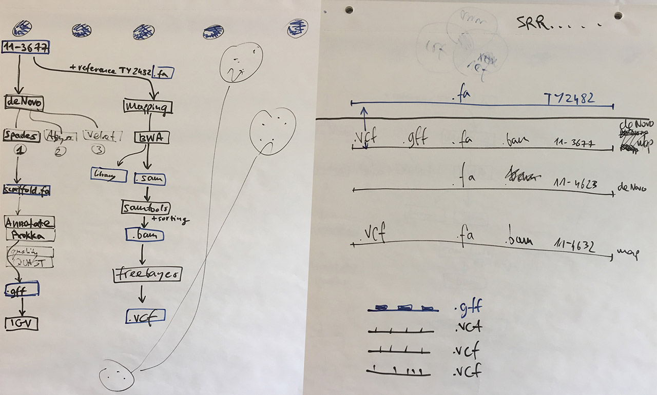 Visual notes from the bioinformatics lab