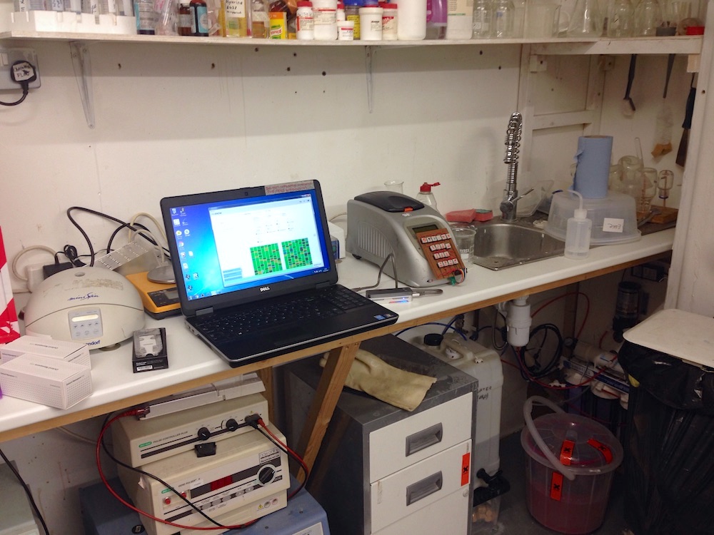 DNA sample in the BioHackspace Lab