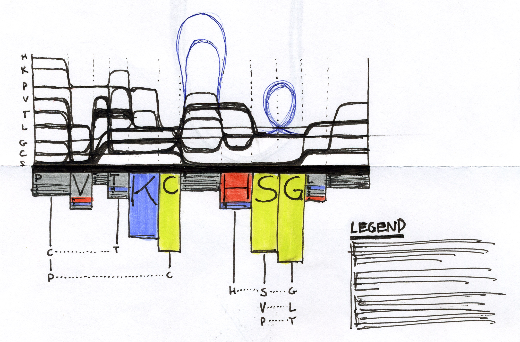 Visualising MSAs using continuous lines