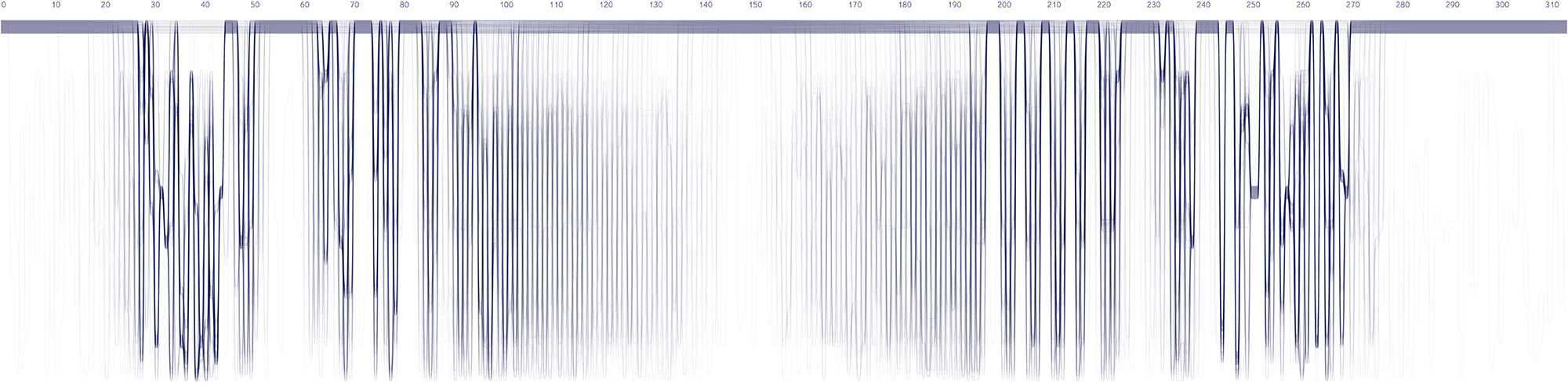 Sequence Bundles: alternative layouts of MSA datasets