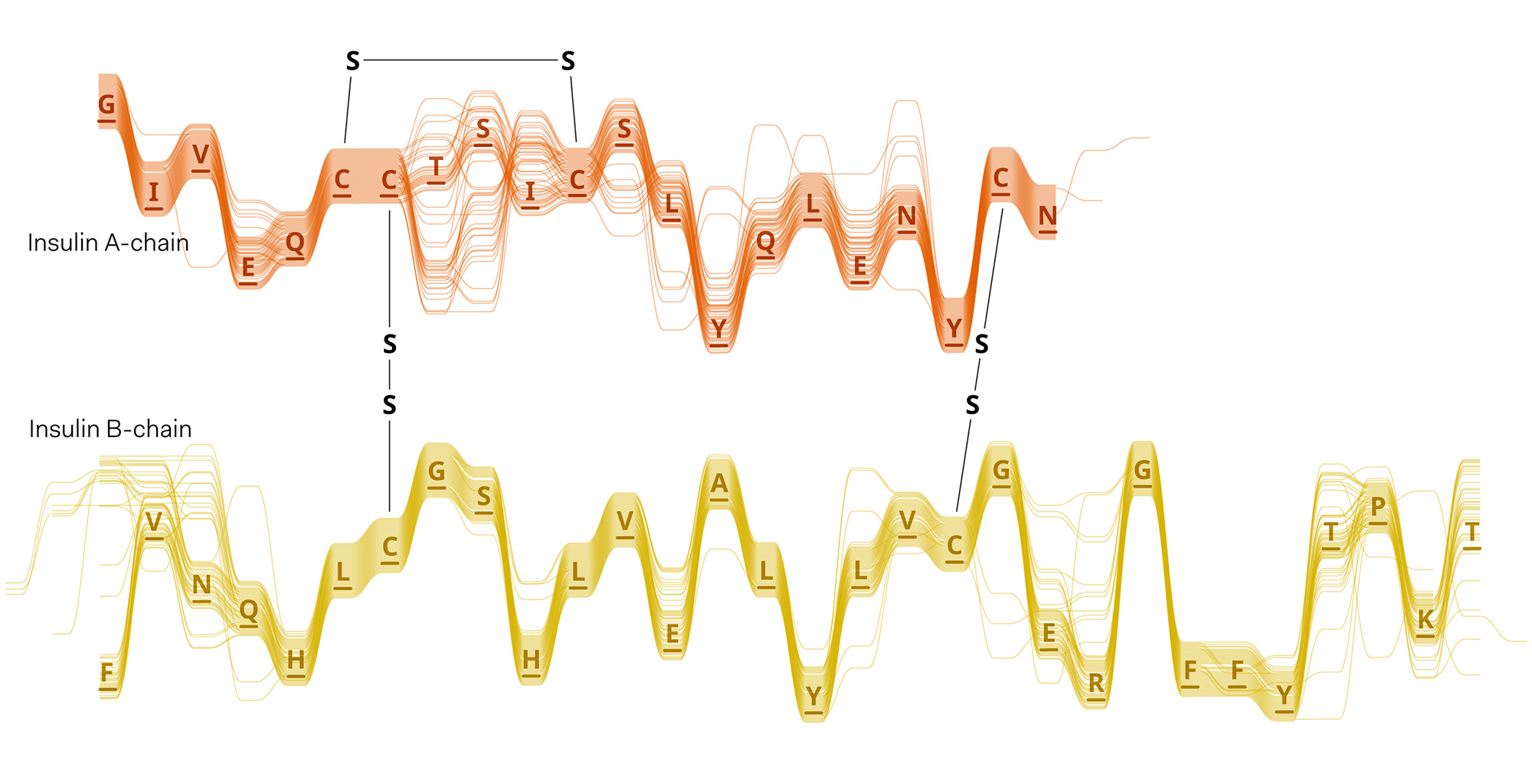 Sequence Bundles: alternative layouts of MSA datasets