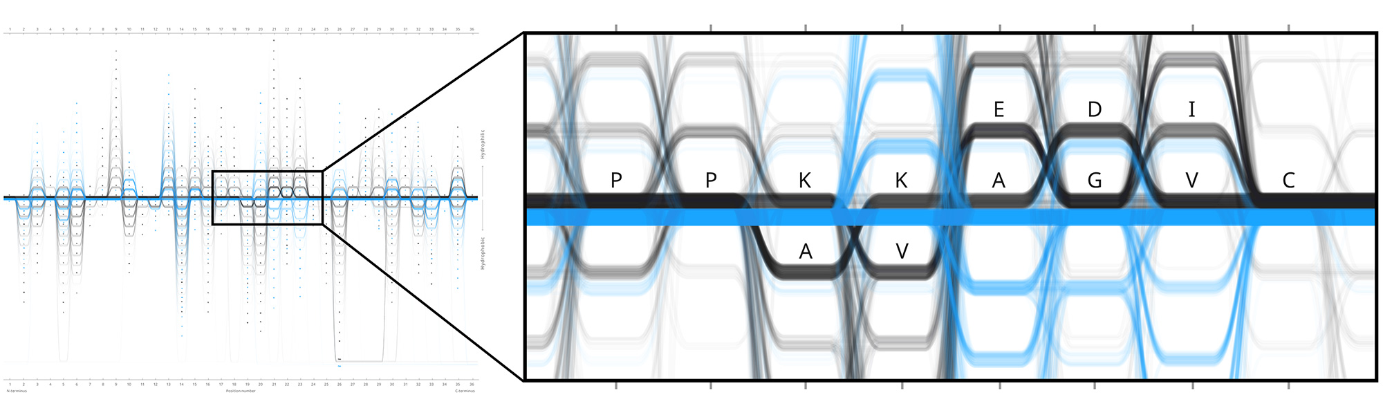 Sequence Bundles: highlighting sequences in MSA