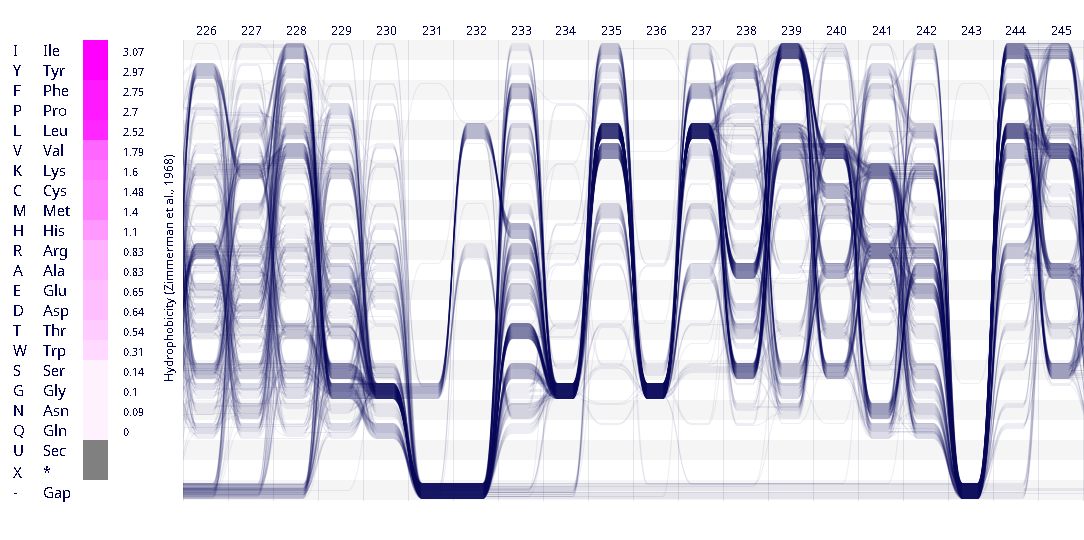 Sequence Bundles visualisation