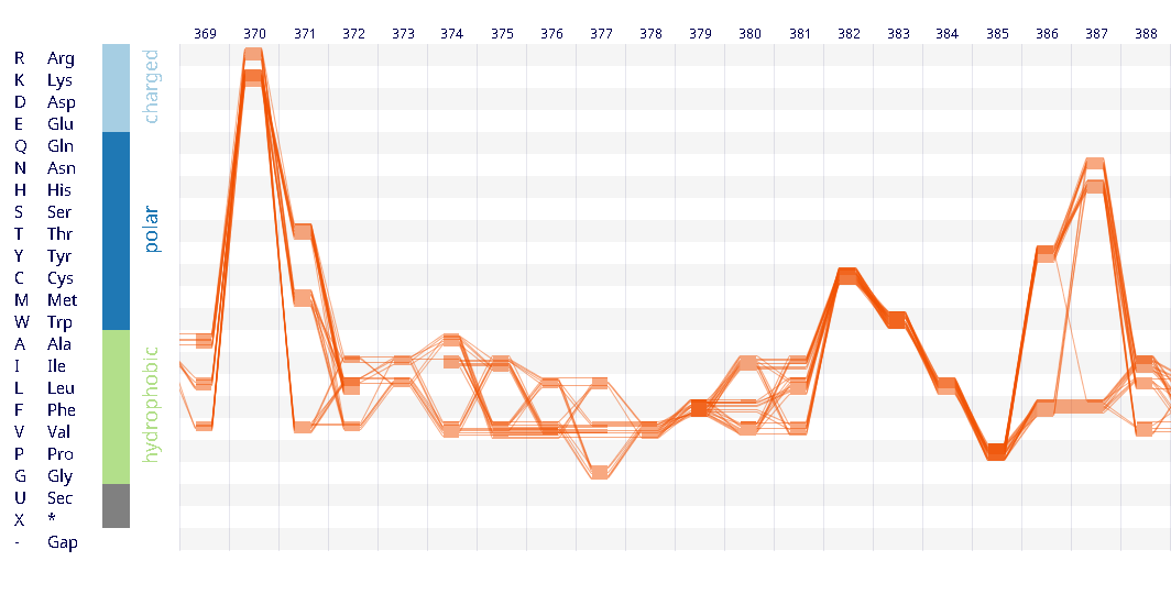 Sequence Bundles visualisation