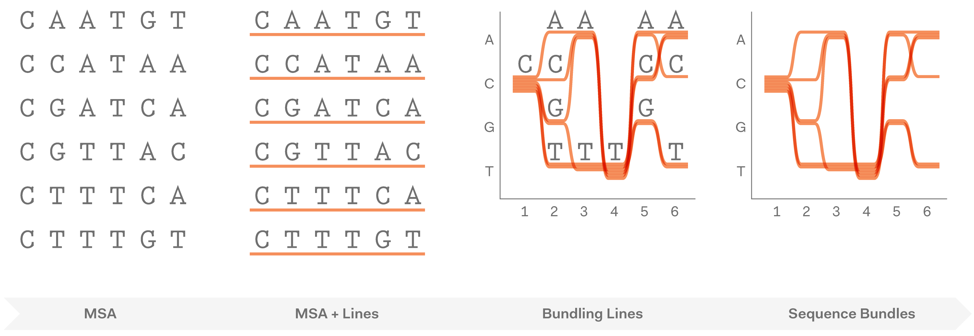 Visualising MSAs using continuous lines